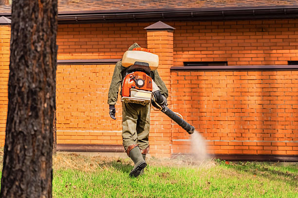 Bed Bug Clearance Verification and Documentation in Amityville
